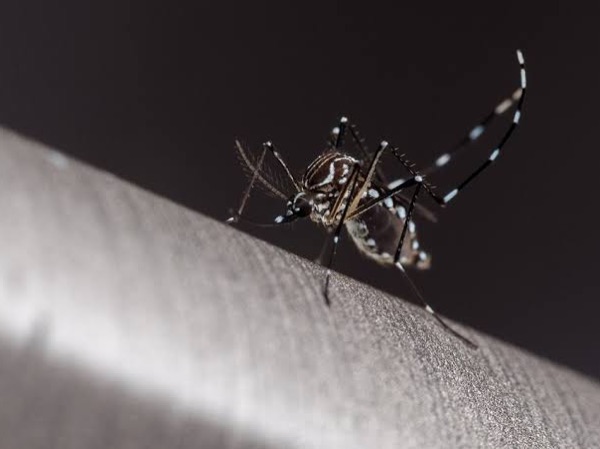 Prefeitura alerta para cuidados com a dengue. É o período chuvoso que chega!